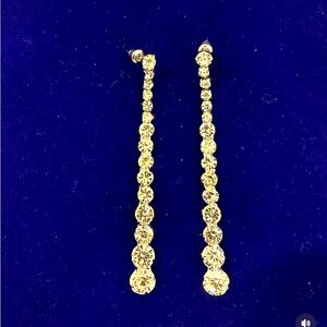 Elegant Silver Drop Earrings